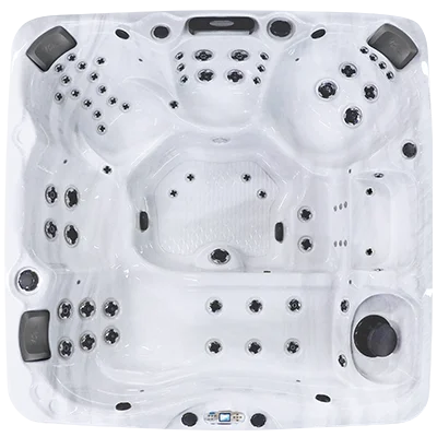 Avalon EC-867L hot tubs for sale in Placentia